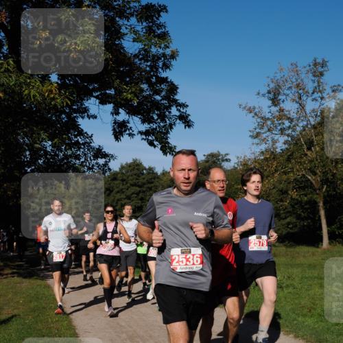 28.09.2025 - 33. Volkslauf durch das schöne Alstertal Fabian Wolf http://msf.ph/oto/8978972 28.09.2025 10:25:20 Laufen 208, 2090, 2617, 2536, 2579 meine-sportfotos.de
