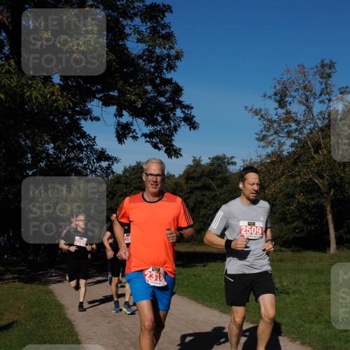 28.09.2025 - 33. Volkslauf durch das schöne Alstertal Fabian Wolf http://msf.ph/oto/8978986 28.09.2025 10:25:25 Laufen 2288, 2318, 2509 meine-sportfotos.de