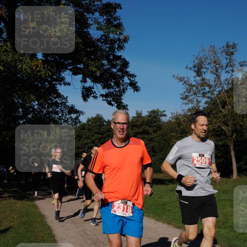 28.09.2025 - 33. Volkslauf durch das schöne Alstertal Fabian Wolf http://msf.ph/oto/8978988 28.09.2025 10:25:26 Laufen 226, 2318, 2509 meine-sportfotos.de