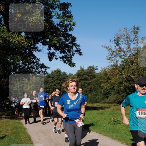 28.09.2025 - 33. Volkslauf durch das schöne Alstertal Fabian Wolf http://msf.ph/oto/8979054 28.09.2025 10:25:39 Laufen 260, 185 meine-sportfotos.de