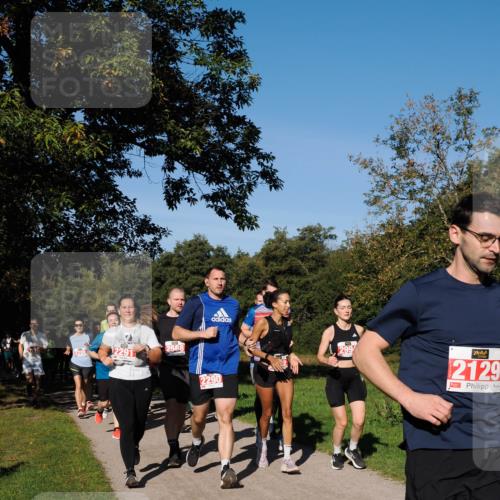 28.09.2025 - 33. Volkslauf durch das schöne Alstertal Fabian Wolf http://msf.ph/oto/8979075 28.09.2025 10:25:41 Laufen 2206, 2568, 2290, 2129 meine-sportfotos.de