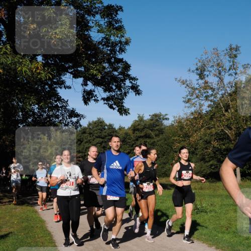 28.09.2025 - 33. Volkslauf durch das schöne Alstertal Fabian Wolf http://msf.ph/oto/8979077 28.09.2025 10:25:42 Laufen 291, 2392, 2994 meine-sportfotos.de