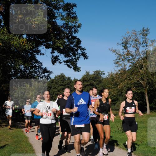 28.09.2025 - 33. Volkslauf durch das schöne Alstertal Fabian Wolf http://msf.ph/oto/8979081 28.09.2025 10:25:42 Laufen 2206777, 2291, 2994 meine-sportfotos.de