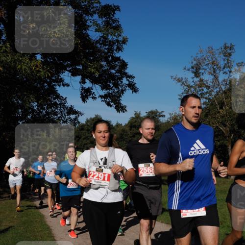 28.09.2025 - 33. Volkslauf durch das schöne Alstertal Fabian Wolf http://msf.ph/oto/8979083 28.09.2025 10:25:43 Laufen 2276, 21, 2285, 2291, 2568 meine-sportfotos.de