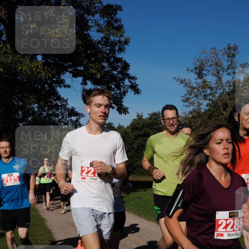 28.09.2025 - 33. Volkslauf durch das schöne Alstertal Fabian Wolf http://msf.ph/oto/8979104 28.09.2025 10:25:45 Laufen 2125, 22, 06, 2286 meine-sportfotos.de