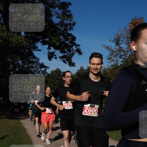 28.09.2025 - 33. Volkslauf durch das schöne Alstertal Fabian Wolf http://msf.ph/oto/8979119 28.09.2025 10:25:51 Laufen 2581, 2529, 2600 meine-sportfotos.de