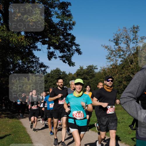28.09.2025 - 33. Volkslauf durch das schöne Alstertal Fabian Wolf http://msf.ph/oto/8979137 28.09.2025 10:25:55 Laufen 2449, 2450 meine-sportfotos.de