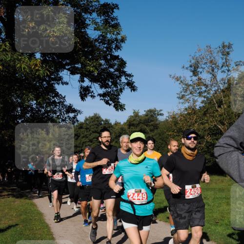 28.09.2025 - 33. Volkslauf durch das schöne Alstertal Fabian Wolf http://msf.ph/oto/8979138 28.09.2025 10:25:55 Laufen 431, 2449, 2450 meine-sportfotos.de
