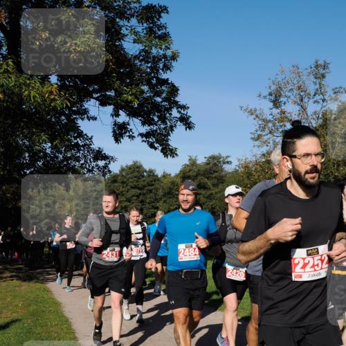 28.09.2025 - 33. Volkslauf durch das schöne Alstertal Fabian Wolf http://msf.ph/oto/8979143 28.09.2025 10:25:57 Laufen 2431, 2484, 2420, 2252 meine-sportfotos.de
