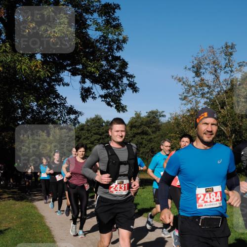 28.09.2025 - 33. Volkslauf durch das schöne Alstertal Fabian Wolf http://msf.ph/oto/8979145 28.09.2025 10:25:57 Laufen 246, 2431, 2484, 8 meine-sportfotos.de