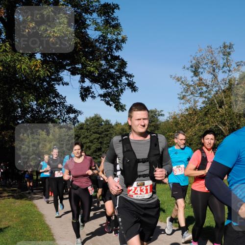 28.09.2025 - 33. Volkslauf durch das schöne Alstertal Fabian Wolf http://msf.ph/oto/8979148 28.09.2025 10:25:58 Laufen 2431, 2638 meine-sportfotos.de