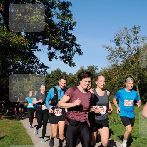 28.09.2025 - 33. Volkslauf durch das schöne Alstertal Fabian Wolf http://msf.ph/oto/8979156 28.09.2025 10:25:59 Laufen 246, 2182, 526, 2386 meine-sportfotos.de