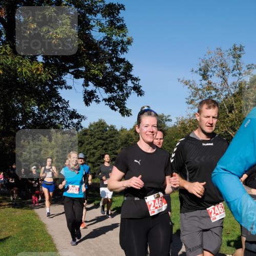 28.09.2025 - 33. Volkslauf durch das schöne Alstertal Fabian Wolf http://msf.ph/oto/8979167 28.09.2025 10:26:00 Laufen 2283, 246, 2462, 30 meine-sportfotos.de