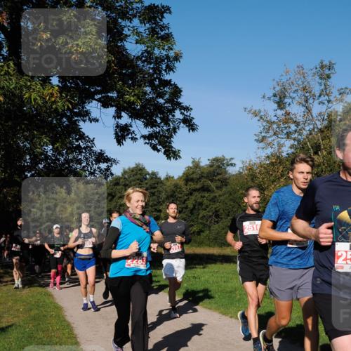 28.09.2025 - 33. Volkslauf durch das schöne Alstertal Fabian Wolf http://msf.ph/oto/8979177 28.09.2025 10:26:01 Laufen 2283, 2157, 2516, 25 meine-sportfotos.de