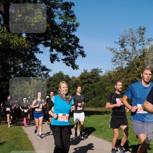 28.09.2025 - 33. Volkslauf durch das schöne Alstertal Fabian Wolf http://msf.ph/oto/8979179 28.09.2025 10:26:02 Laufen 2122, 2283, 23 meine-sportfotos.de
