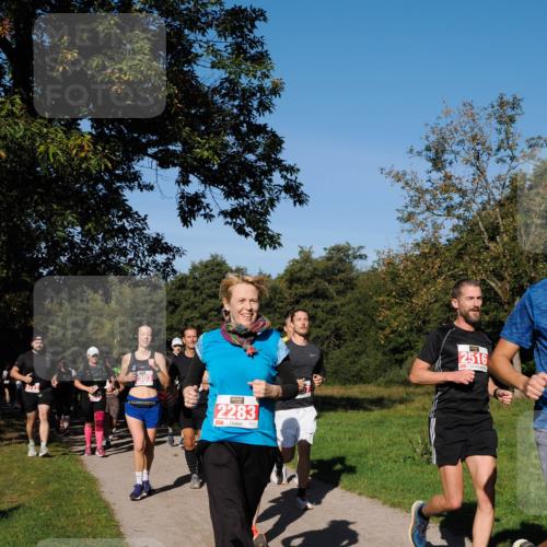 28.09.2025 - 33. Volkslauf durch das schöne Alstertal Fabian Wolf http://msf.ph/oto/8979181 28.09.2025 10:26:02 Laufen 122, 303, 2283, 2516 meine-sportfotos.de