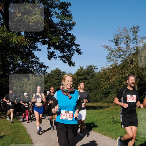 28.09.2025 - 33. Volkslauf durch das schöne Alstertal Fabian Wolf http://msf.ph/oto/8979182 28.09.2025 10:26:02 Laufen 303, 2283, 2516 meine-sportfotos.de