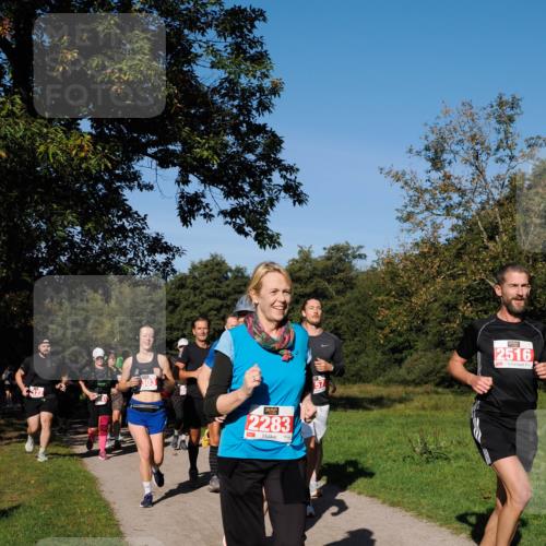 28.09.2025 - 33. Volkslauf durch das schöne Alstertal Fabian Wolf http://msf.ph/oto/8979183 28.09.2025 10:26:02 Laufen 303, 2283, 2516 meine-sportfotos.de