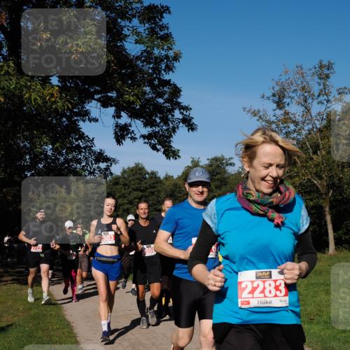 28.09.2025 - 33. Volkslauf durch das schöne Alstertal Fabian Wolf http://msf.ph/oto/8979189 28.09.2025 10:26:03 Laufen 303, 2558, 2283 meine-sportfotos.de