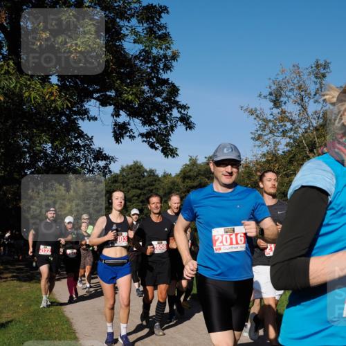 28.09.2025 - 33. Volkslauf durch das schöne Alstertal Fabian Wolf http://msf.ph/oto/8979192 28.09.2025 10:26:03 Laufen 2122, 303, 2558, 2016 meine-sportfotos.de