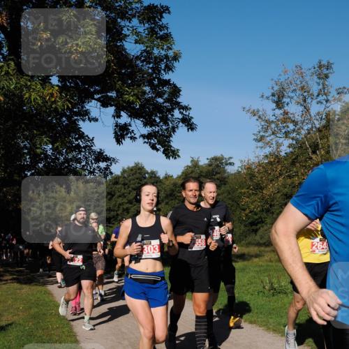 28.09.2025 - 33. Volkslauf durch das schöne Alstertal Fabian Wolf http://msf.ph/oto/8979194 28.09.2025 10:26:04 Laufen 303, 2558, 264 meine-sportfotos.de