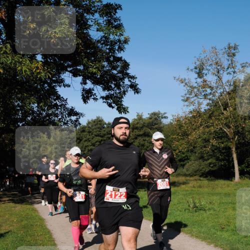 28.09.2025 - 33. Volkslauf durch das schöne Alstertal Fabian Wolf http://msf.ph/oto/8979206 28.09.2025 10:26:05 Laufen 1974, 2301, 2122, 2081 meine-sportfotos.de