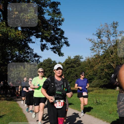 28.09.2025 - 33. Volkslauf durch das schöne Alstertal Fabian Wolf http://msf.ph/oto/8979213 28.09.2025 10:26:06 Laufen 230, 2641 meine-sportfotos.de