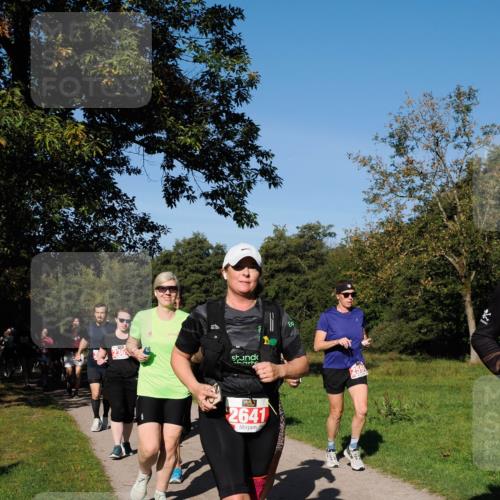 28.09.2025 - 33. Volkslauf durch das schöne Alstertal Fabian Wolf http://msf.ph/oto/8979214 28.09.2025 10:26:06 Laufen 0, 2641 meine-sportfotos.de