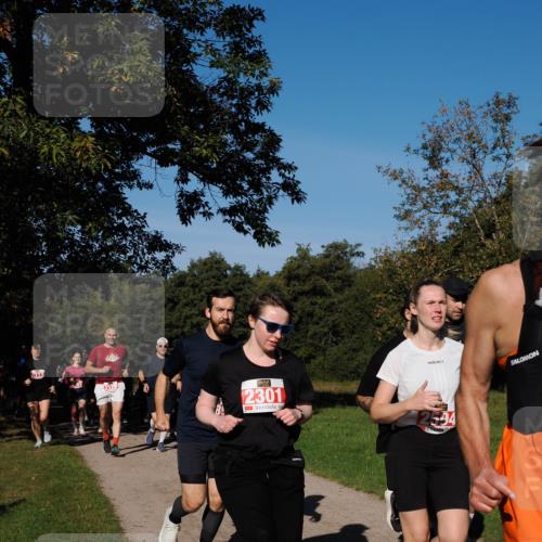 28.09.2025 - 33. Volkslauf durch das schöne Alstertal Fabian Wolf http://msf.ph/oto/8979230 28.09.2025 10:26:08 Laufen 2113, 2179, 2301, 2594 meine-sportfotos.de