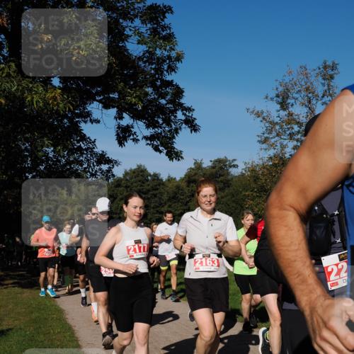28.09.2025 - 33. Volkslauf durch das schöne Alstertal Fabian Wolf http://msf.ph/oto/8979282 28.09.2025 10:26:16 Laufen 254, 2177, 2990, 2163, 22 meine-sportfotos.de