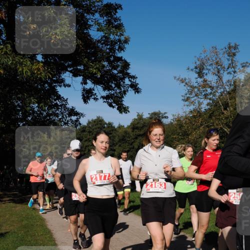 28.09.2025 - 33. Volkslauf durch das schöne Alstertal Fabian Wolf http://msf.ph/oto/8979284 28.09.2025 10:26:16 Laufen 2172, 2177, 2163, 25 meine-sportfotos.de