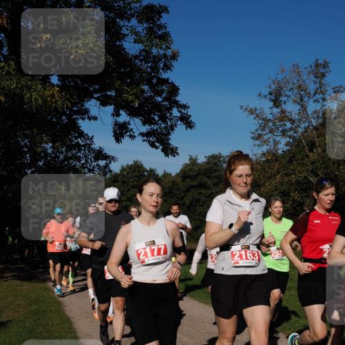 28.09.2025 - 33. Volkslauf durch das schöne Alstertal Fabian Wolf http://msf.ph/oto/8979286 28.09.2025 10:26:16 Laufen 2172, 239, 2177, 2163 meine-sportfotos.de