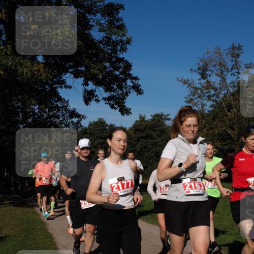28.09.2025 - 33. Volkslauf durch das schöne Alstertal Fabian Wolf http://msf.ph/oto/8979287 28.09.2025 10:26:16 Laufen 2177, 260, 2163, 253, 22 meine-sportfotos.de