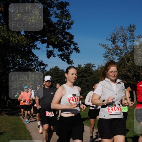 28.09.2025 - 33. Volkslauf durch das schöne Alstertal Fabian Wolf http://msf.ph/oto/8979288 28.09.2025 10:26:16 Laufen 2544, 2177, 2163 meine-sportfotos.de