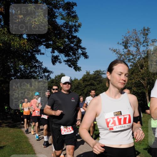 28.09.2025 - 33. Volkslauf durch das schöne Alstertal Fabian Wolf http://msf.ph/oto/8979293 28.09.2025 10:26:17 Laufen 2395, 2544, 2177 meine-sportfotos.de