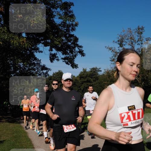 28.09.2025 - 33. Volkslauf durch das schöne Alstertal Fabian Wolf http://msf.ph/oto/8979294 28.09.2025 10:26:17 Laufen 2222, 2544, 2177 meine-sportfotos.de
