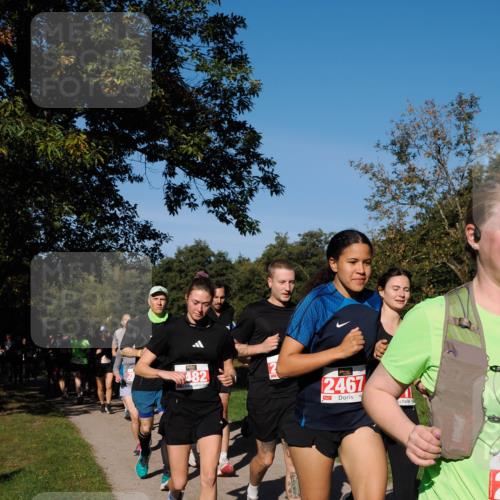 28.09.2025 - 33. Volkslauf durch das schöne Alstertal Fabian Wolf http://msf.ph/oto/8979340 28.09.2025 10:26:27 Laufen 482, 2467 meine-sportfotos.de