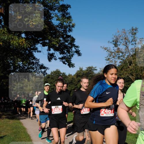 28.09.2025 - 33. Volkslauf durch das schöne Alstertal Fabian Wolf http://msf.ph/oto/8979341 28.09.2025 10:26:27 Laufen 2482, 2481, 2401 meine-sportfotos.de