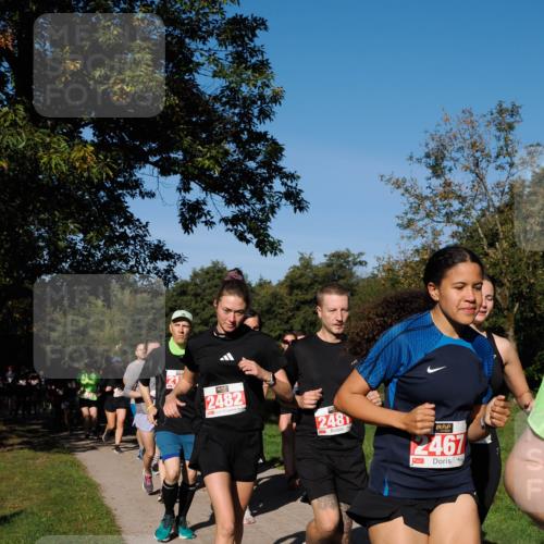 28.09.2025 - 33. Volkslauf durch das schöne Alstertal Fabian Wolf http://msf.ph/oto/8979342 28.09.2025 10:26:28 Laufen 2482, 248, 2467 meine-sportfotos.de