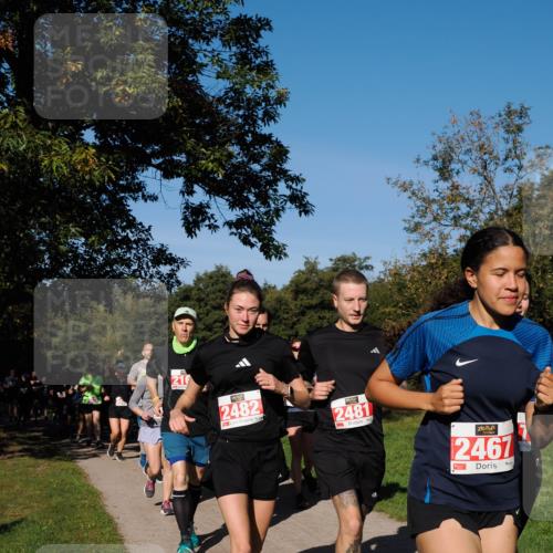 28.09.2025 - 33. Volkslauf durch das schöne Alstertal Fabian Wolf http://msf.ph/oto/8979343 28.09.2025 10:26:28 Laufen 216, 2482, 2481, 2467 meine-sportfotos.de