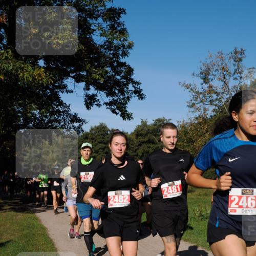 28.09.2025 - 33. Volkslauf durch das schöne Alstertal Fabian Wolf http://msf.ph/oto/8979344 28.09.2025 10:26:28 Laufen 2166, 2482, 2481, 246 meine-sportfotos.de