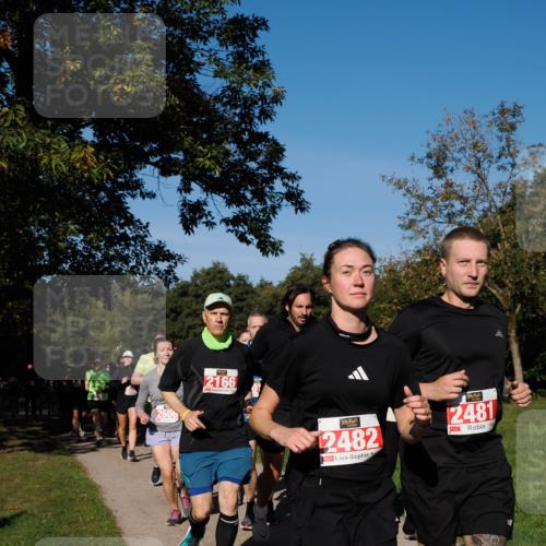 28.09.2025 - 33. Volkslauf durch das schöne Alstertal Fabian Wolf http://msf.ph/oto/8979348 28.09.2025 10:26:28 Laufen 2606, 2166, 2482, 2481 meine-sportfotos.de