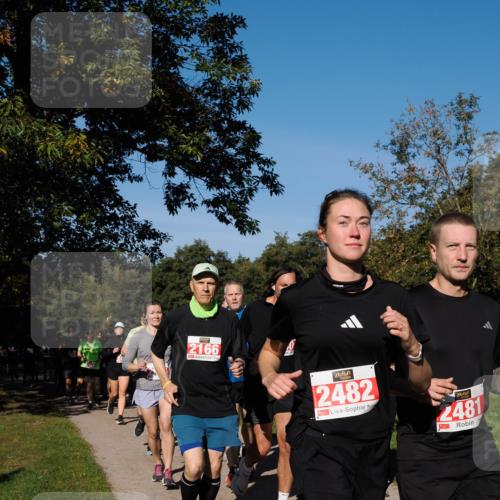 28.09.2025 - 33. Volkslauf durch das schöne Alstertal Fabian Wolf http://msf.ph/oto/8979349 28.09.2025 10:26:28 Laufen 2166, 2482, 2481 meine-sportfotos.de