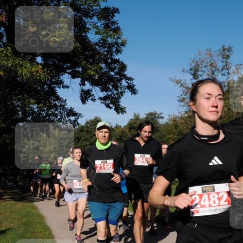 28.09.2025 - 33. Volkslauf durch das schöne Alstertal Fabian Wolf http://msf.ph/oto/8979351 28.09.2025 10:26:28 Laufen 2606, 2166, 264, 2482 meine-sportfotos.de