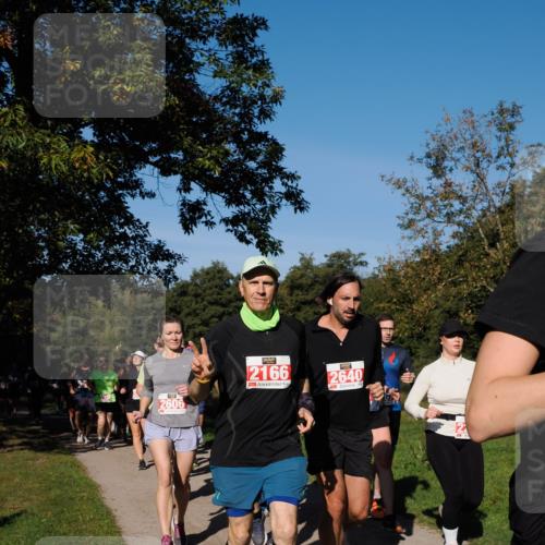 28.09.2025 - 33. Volkslauf durch das schöne Alstertal Fabian Wolf http://msf.ph/oto/8979353 28.09.2025 10:26:29 Laufen 2606, 2166, 2640 meine-sportfotos.de