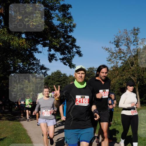 28.09.2025 - 33. Volkslauf durch das schöne Alstertal Fabian Wolf http://msf.ph/oto/8979355 28.09.2025 10:26:29 Laufen 2606, 2166, 640, 2238 meine-sportfotos.de