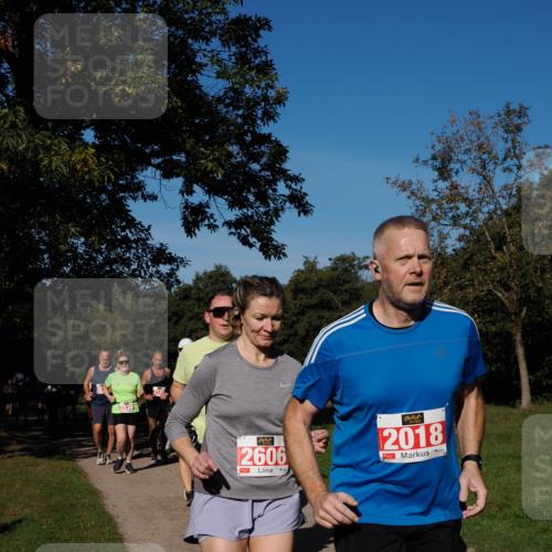 28.09.2025 - 33. Volkslauf durch das schöne Alstertal Fabian Wolf http://msf.ph/oto/8979362 28.09.2025 10:26:30 Laufen 2606, 2018 meine-sportfotos.de