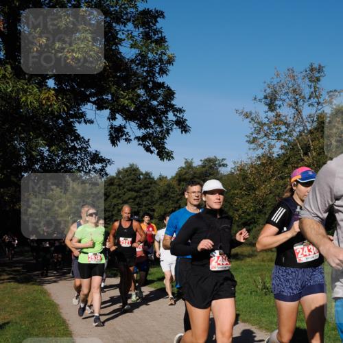 28.09.2025 - 33. Volkslauf durch das schöne Alstertal Fabian Wolf http://msf.ph/oto/8979373 28.09.2025 10:26:32 Laufen 2121, 14, 2484, 243 meine-sportfotos.de