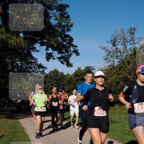 28.09.2025 - 33. Volkslauf durch das schöne Alstertal Fabian Wolf http://msf.ph/oto/8979375 28.09.2025 10:26:32 Laufen 2121, 2538, 183, 2464, 243 meine-sportfotos.de
