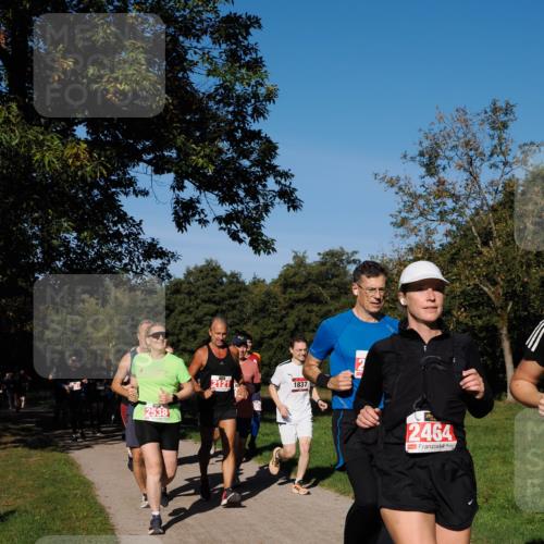 28.09.2025 - 33. Volkslauf durch das schöne Alstertal Fabian Wolf http://msf.ph/oto/8979377 28.09.2025 10:26:32 Laufen 2538, 2121, 1837, 2464 meine-sportfotos.de